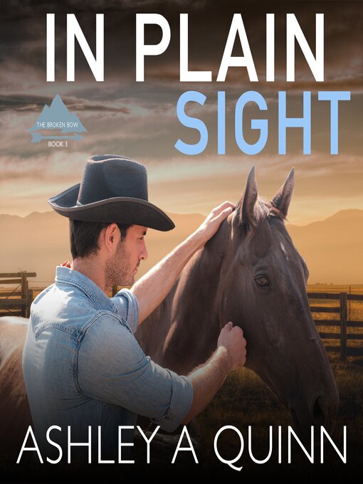 Title details for In Plain Sight by Ashley A. Quinn - Wait list